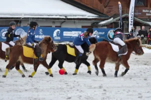Shetland Pony